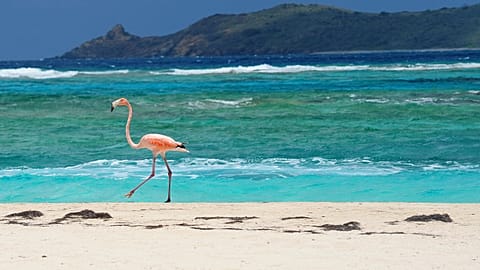 The EU has sought to blacklist foreign tax havens, such as the Virgin Islands