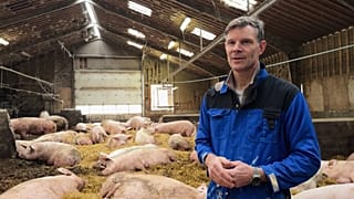 Taxe carbone sur l’élevage au Danemark : un modèle pour l’Europe ?
