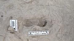Turkana Havzası'nda bulunan izlerden biri