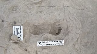 Turkana Havzası'nda bulunan izlerden biri