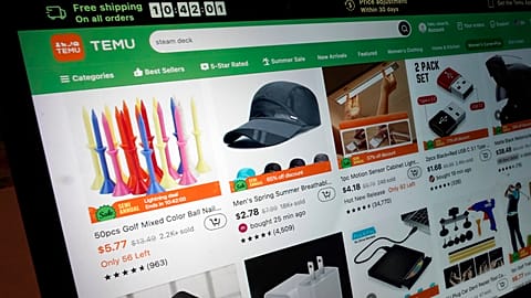 A page taken from the Temu website 