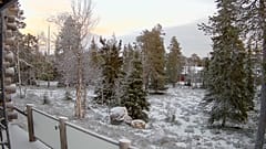 Kuusamo Webcam zeigt eine leichte Schneedecke, 5. Dezember 2024
