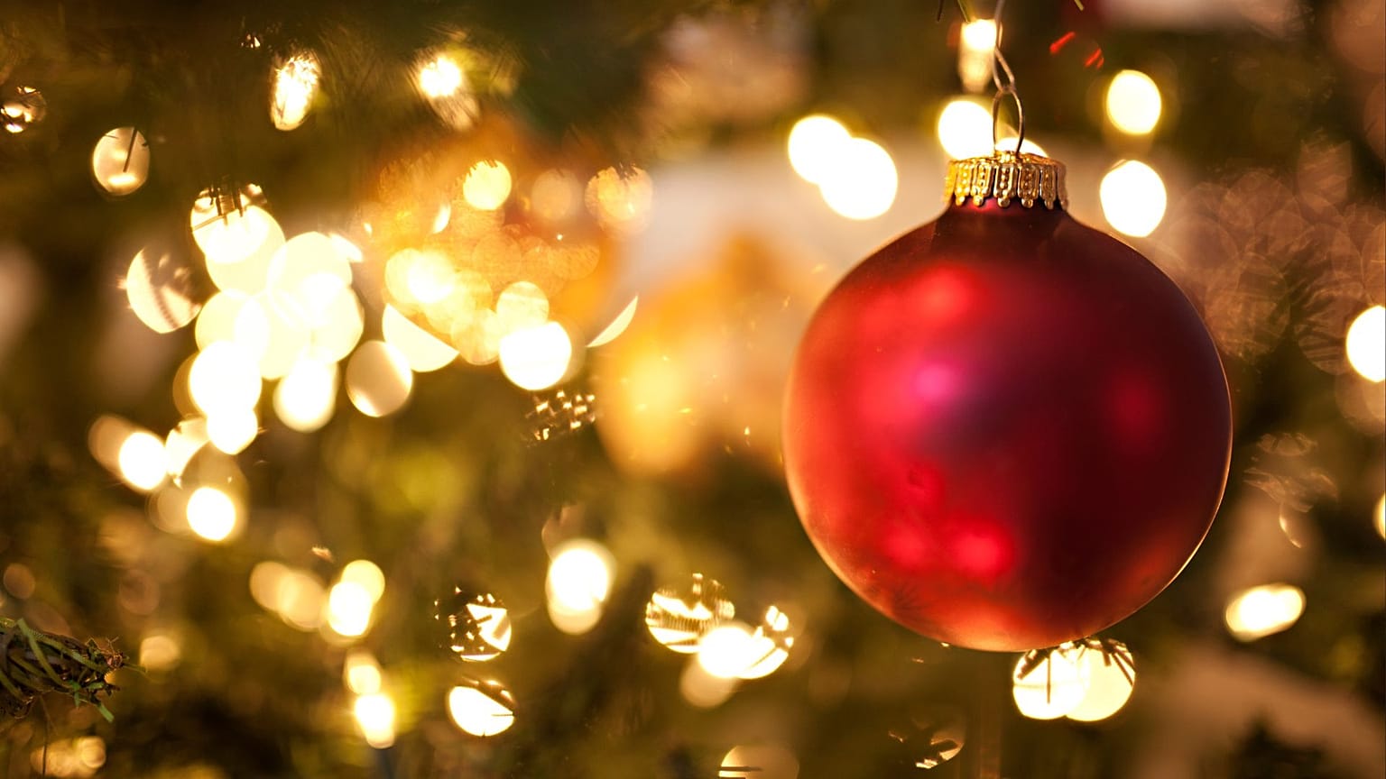 Bauble on Christmas tree.