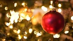 Bauble on Christmas tree.