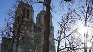 A Notre-Dame a megnyitó előtt, 2024. november 28-án