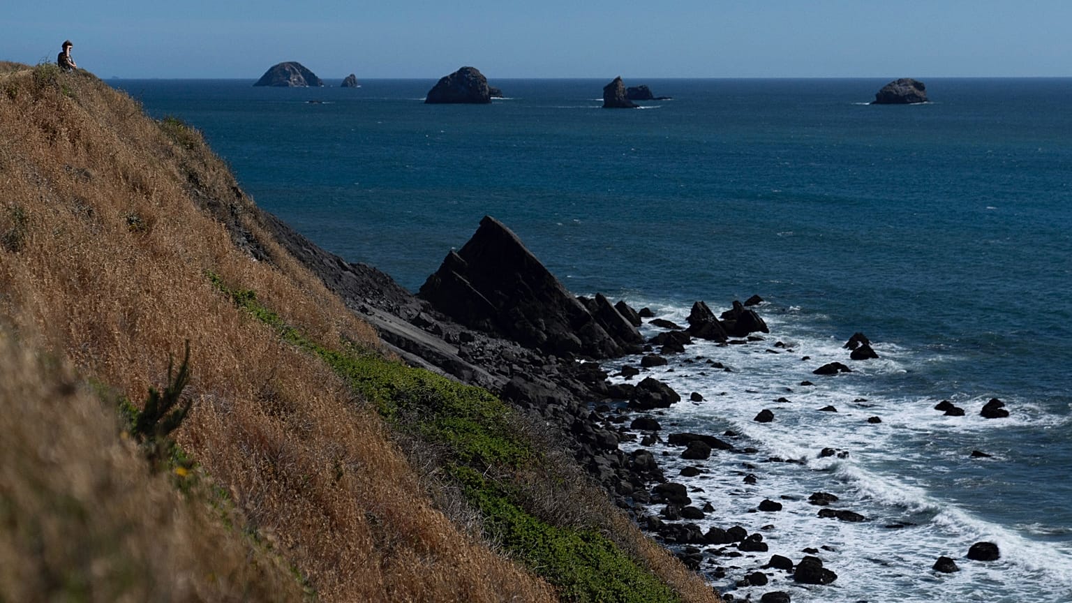 Port Orford - Oregon yakınlarında, Oregon Sahil Otoyolu olarak da bilinen yol görüntüleniyor