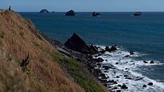 Port Orford - Oregon yakınlarında, Oregon Sahil Otoyolu olarak da bilinen yol görüntüleniyor