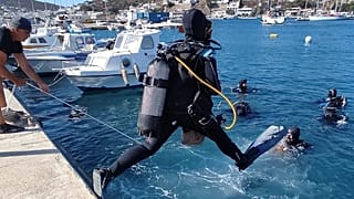Dive in Action