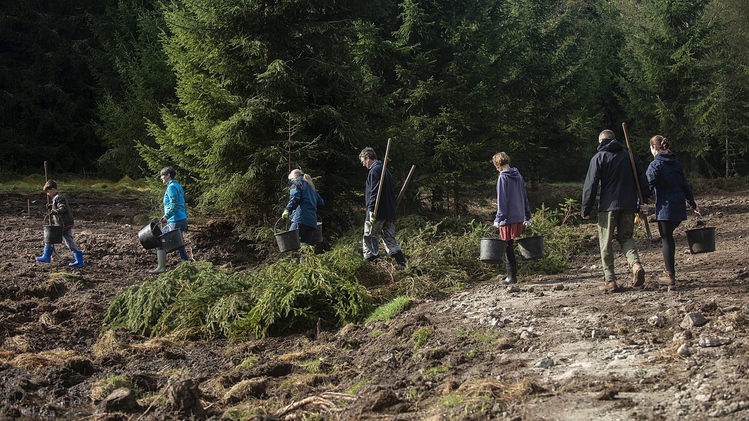 Voluntarios caminando sobre el terreno durante la revitalización de los lodazales de Malý Bor, Chequia. El Programa LIFE es el único que financia directamente este tipo de actuaciones sobre el terreno.