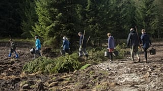 Voluntarios caminando sobre el terreno durante la revitalización de los lodazales de Malý Bor, Chequia. El Programa LIFE es el único que financia directamente este tipo de actuaciones sobre el terreno.