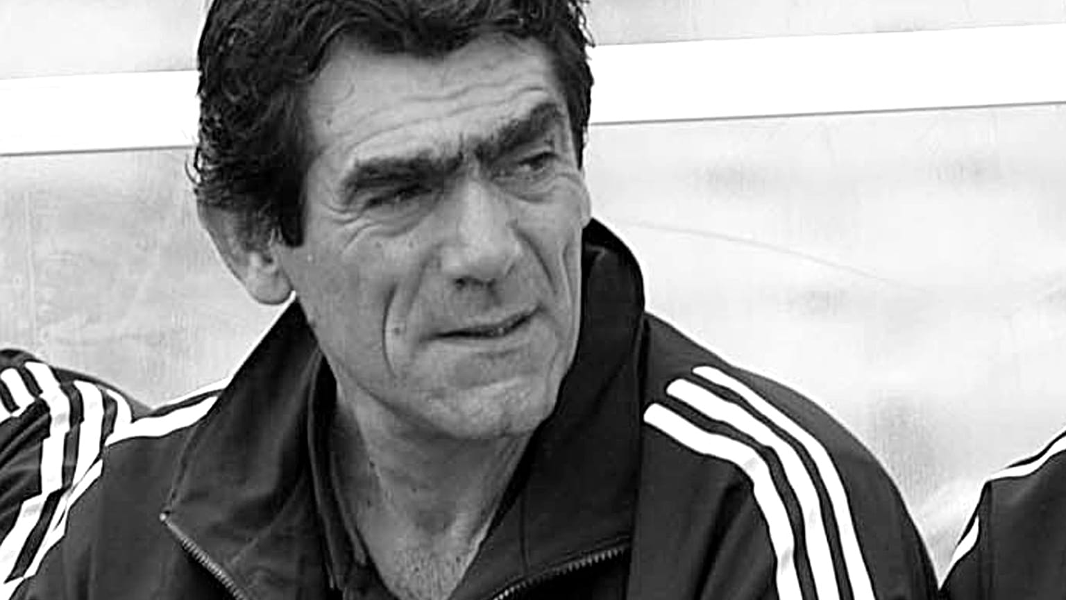 Νίκος Σαργκάνης