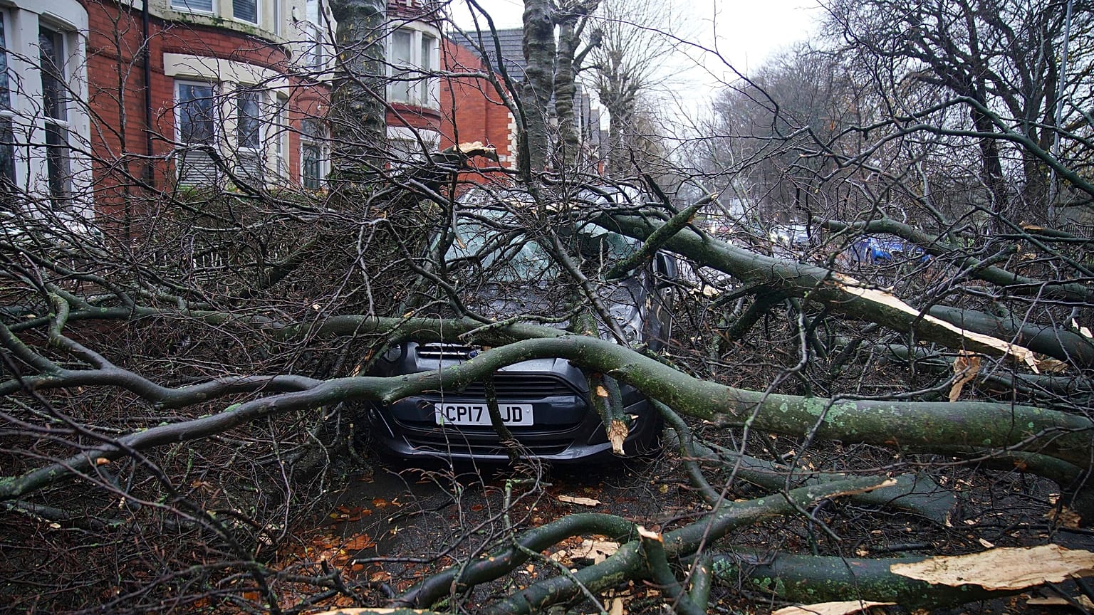 Un coche se ve debajo de un árbol caído en Liverpool, 7 de diciembre, 2024