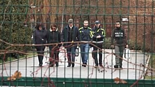 Зоопарк Питешти после нападения тигра 9 декабря 2024 года