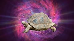 C'est probablement ainsi que la tortue était perçue par les peuples anciens.