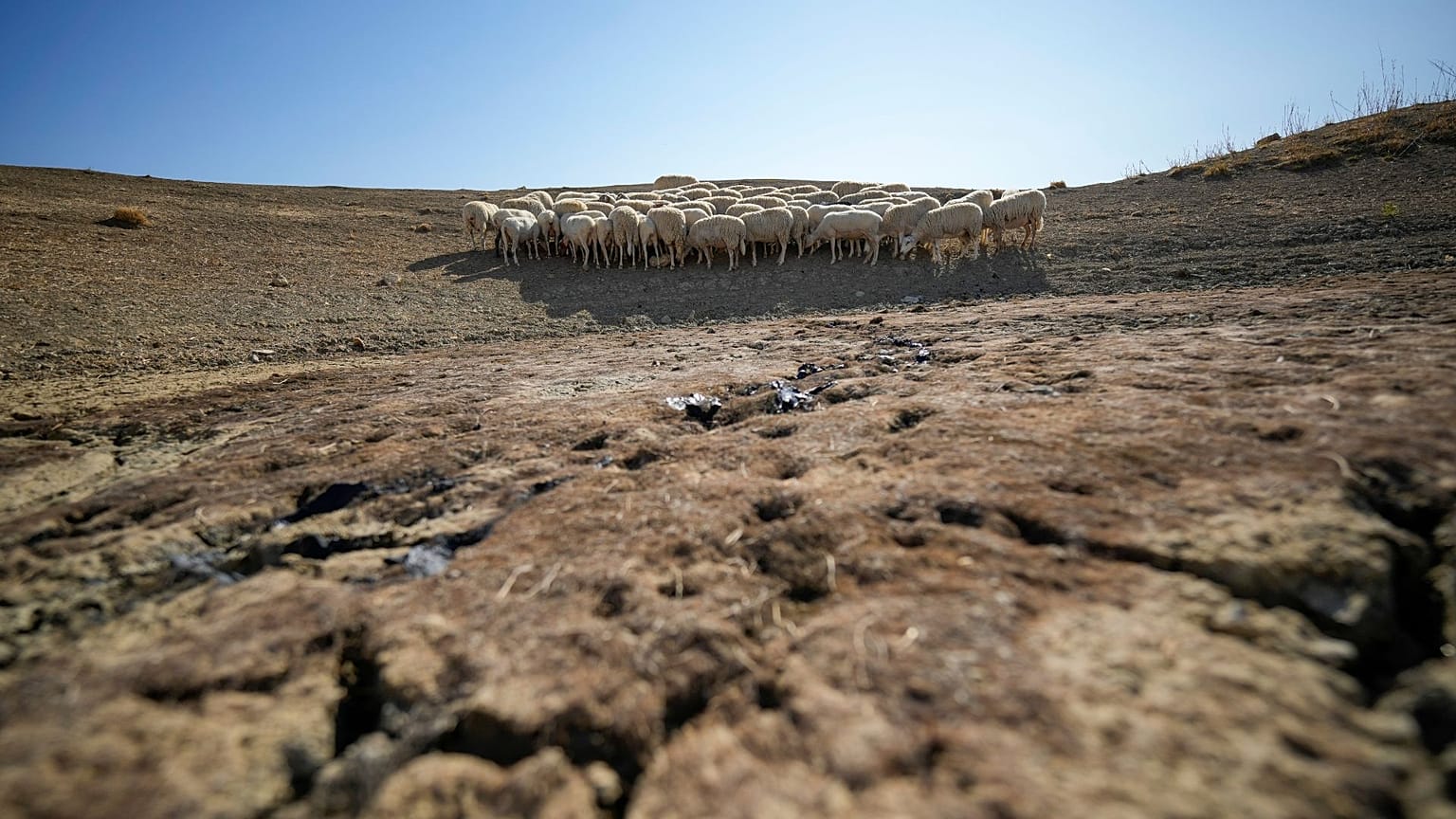 O que acontece se a maior parte do planeta se transformar num deserto?