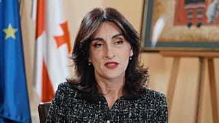 Pro-EU-Proteste in Georgien waren nicht friedlich, sagt Außenministerin