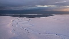 Arktik Ulusal Yaban Hayatı Sığınağı'nın kıyı ovası Kaktovik, Alaska yakınlarında görülüyor.