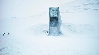 Le bâtiment du portail et l'entrée de la chambre forte des semences par une journée d'hiver.
