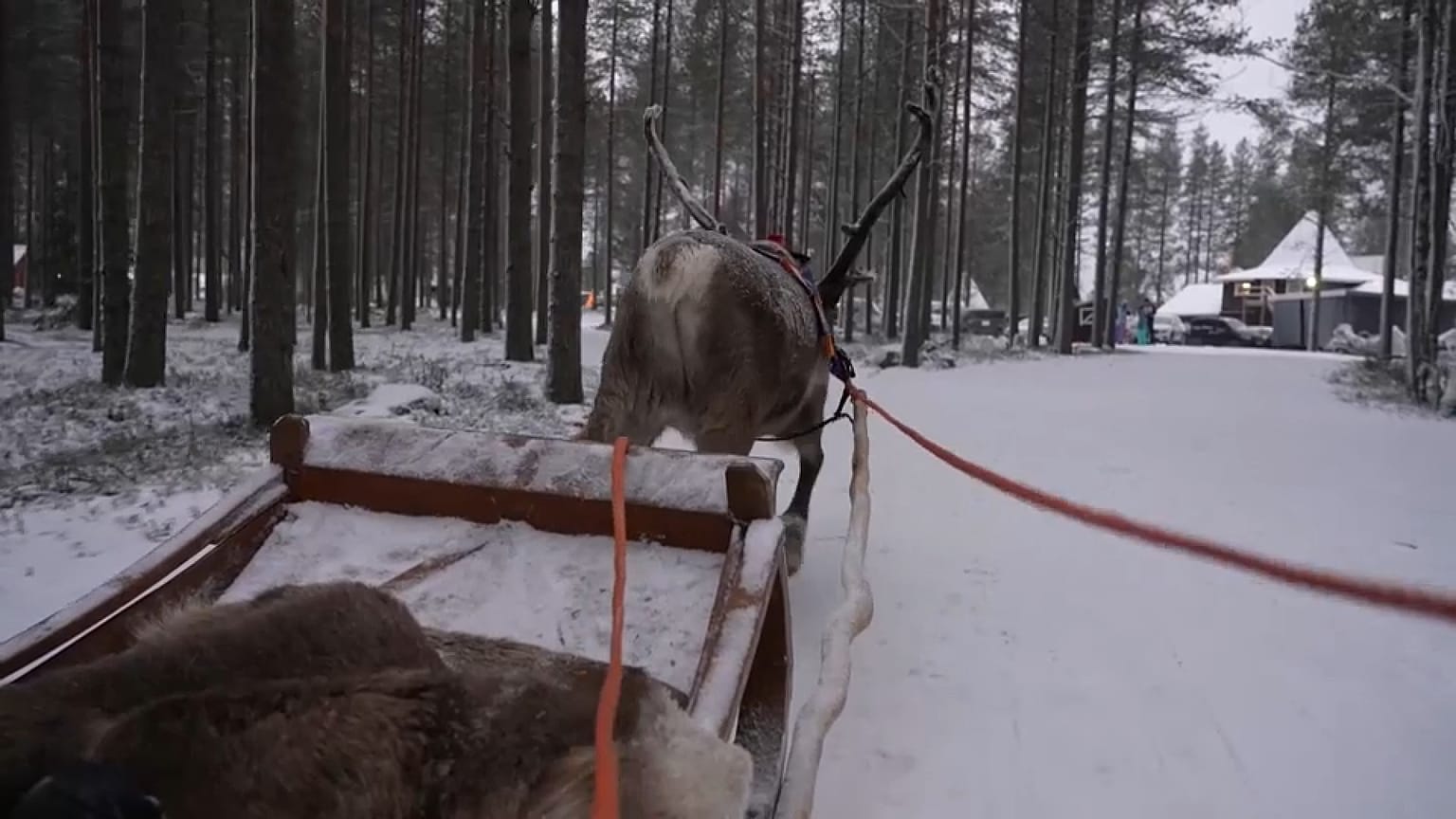 Wioska Świętego Mikołaja w Laponii pełna gości z okazji świąt Bożego Narodzenia