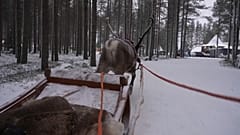 Wioska Świętego Mikołaja w Laponii pełna gości z okazji świąt Bożego Narodzenia