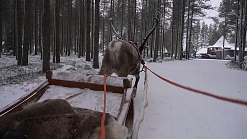 Wioska Świętego Mikołaja w Laponii pełna gości z okazji świąt Bożego Narodzenia