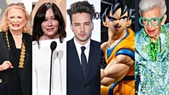 Gena Rowlands, Shannen Doherty, LIam Payne, una estatua de Goku (en referencia a su autor Akira Toriyama) e Iris Apfel; todos ellos fallecidos en 2024.