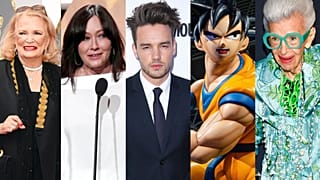 Gena Rowlands, Shannen Doherty, LIam Payne, una estatua de Goku (en referencia a su autor Akira Toriyama) e Iris Apfel; todos ellos fallecidos en 2024.