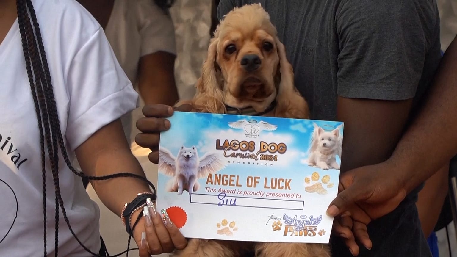 Un cane indossa con orgoglio il suo diploma di Angelo della Fortuna durante il carnevale canino di Lagos in Nigeria, 14.12.2024