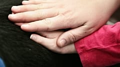 Sessão de terapia numa escola primária