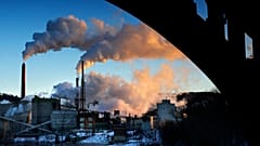 The EU's new law requires companies to check dodgy environmental and labour practices in supply chains