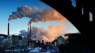 The EU's new law requires companies to check dodgy environmental and labour practices in supply chains
