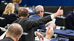 A new health committee in the Parliament will start working next year.