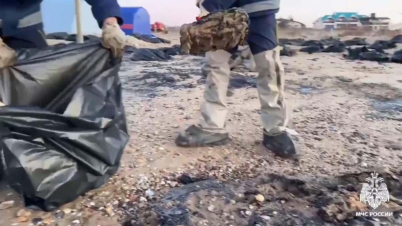 catastrophe écologique