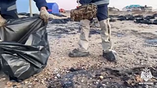 catastrophe écologique