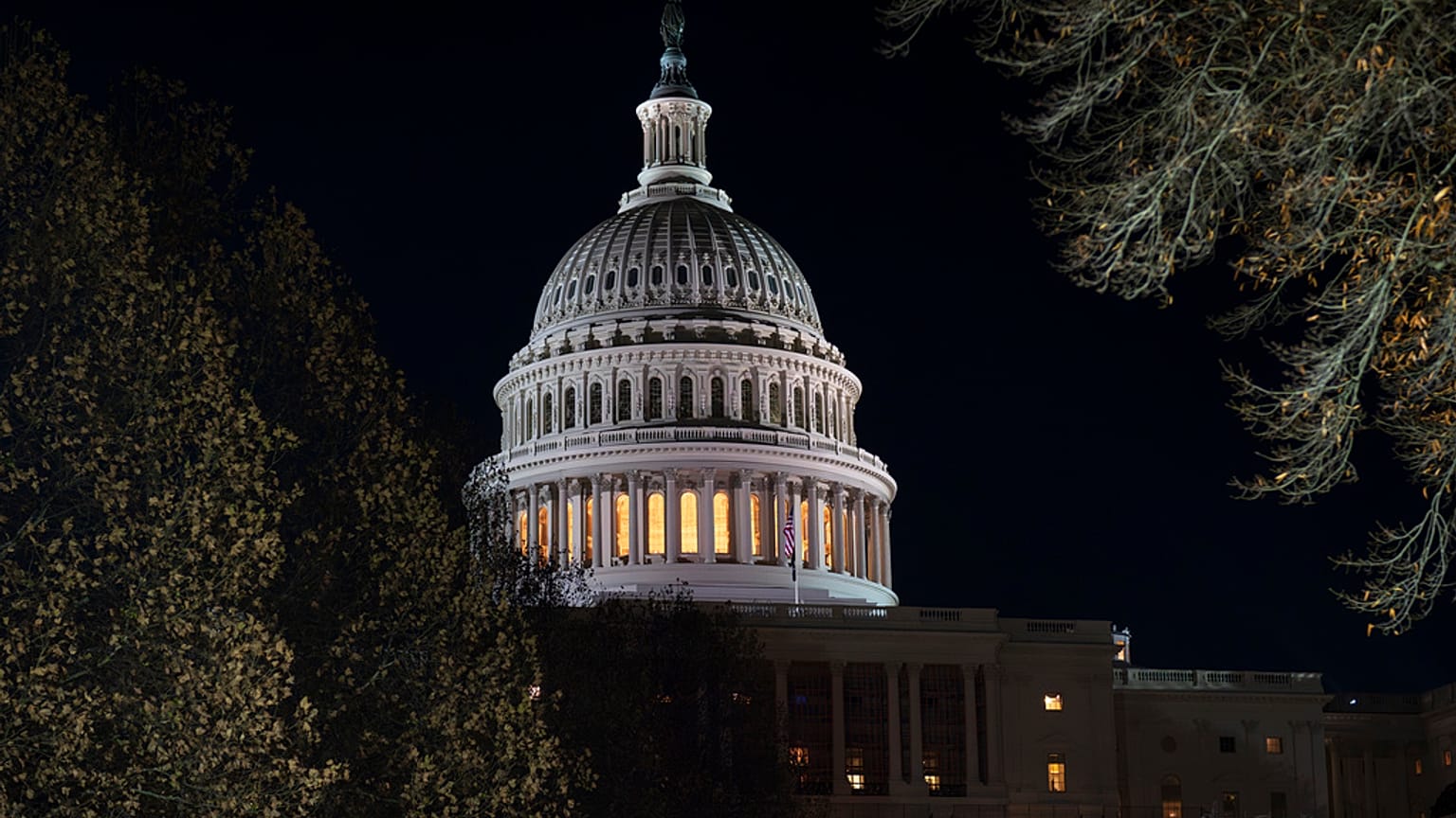 The Capitol Christmas tree is illuminated in Washington, after the Republican-controlled House of Representatives failed to pass an interim spending bill, Thursday, Dec. 19, 2