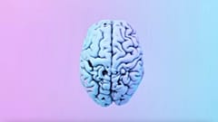 Alzheimer hastalığı demansın sık görüldüğü hastalıklardan biri olurken, Alzheimer hastalığı tüm demansların yüzde 60'ından fazlasını oluşturuyor. 