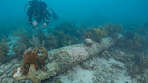 Alexandre Monteiro has identified more than 8,000 shipwrecks in Portugal's maritime territory