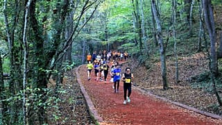 Belgrad Ormanı'nda bir koşu etkinliği