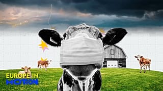 In 2024, agricultural prices in the European Union saw a modest decline, falling by 2% compared to 2023.
