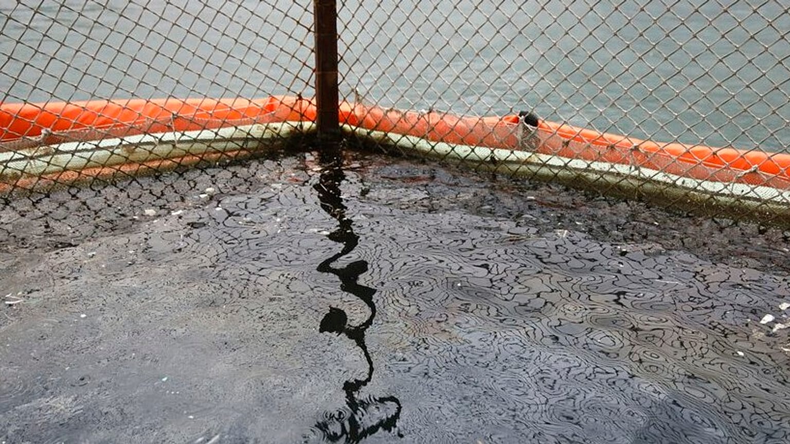 Una parte del Mar Negro cerca de un delfinario en una costa tras un vertido de petróleo que se produjo mientras se bombeaba en el petrolero Minerva Symphony, Rusia.