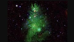 NGC 2264 yıldız kümesi