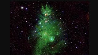 NGC 2264 yıldız kümesi