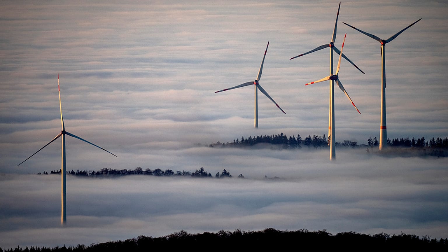 Turbiny wiatrowe otoczone mgłą w regionie Taunus w pobliżu Frankfurtu w Niemczech, 10.11.2024