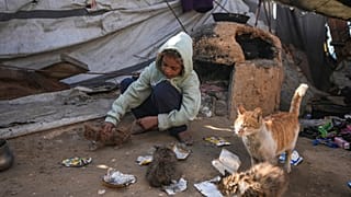 Gazze Şeridi'ndeki bir çocuk yavru kediyle oynuyor, 27 Aralık 2024
