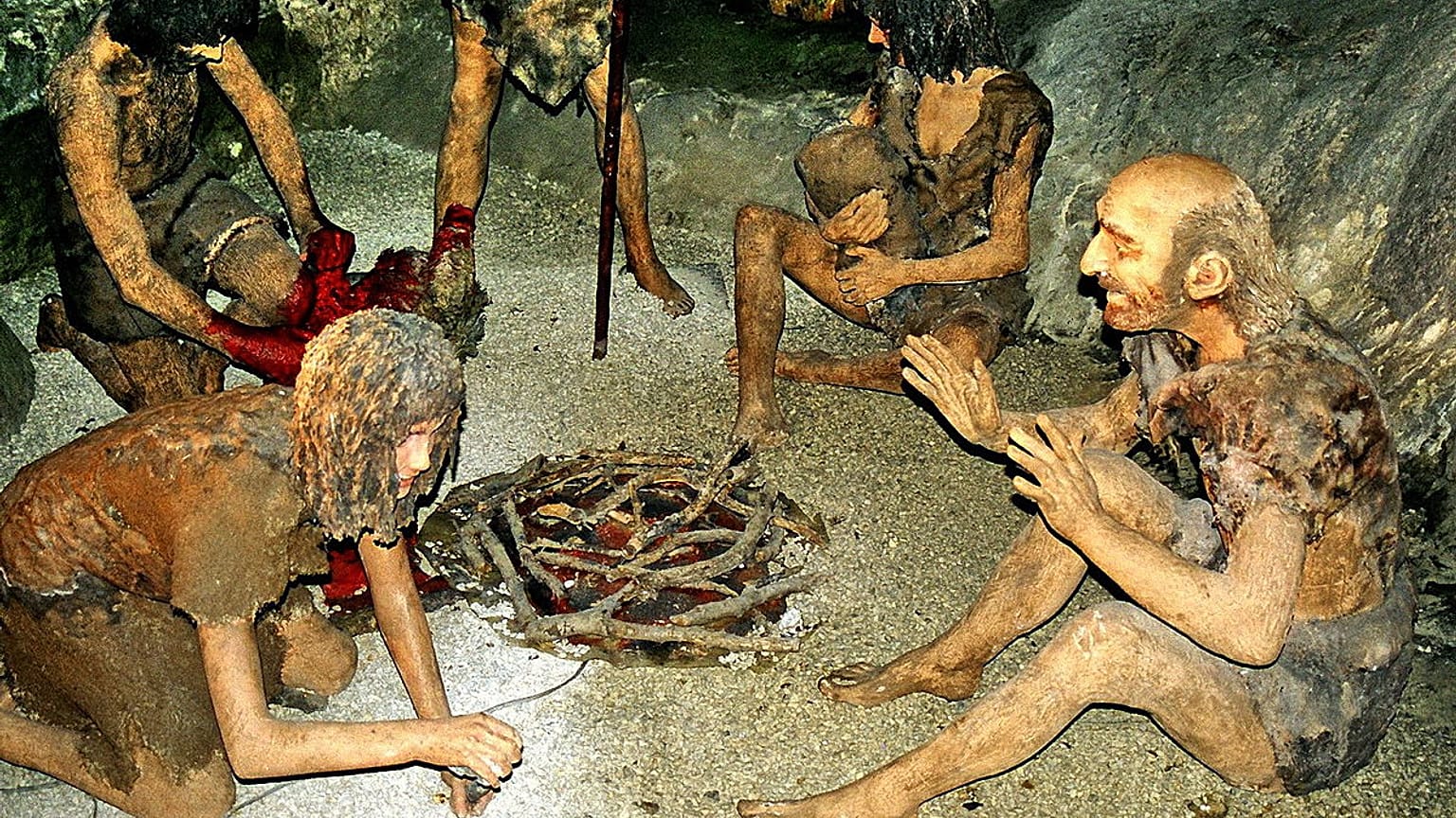 Neandertallerin nesli yaklaşık 40.000 yıl önce tükendi