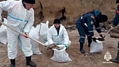 Очистка береговой территории от мазута в Керчи после крушения танкеров "Волгонефти".
