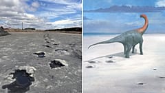 Die größte Dinosaurierspur Großbritanniens in einem Steinbruch in Oxfordshire entdeckt