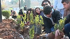 Einwohner von Aleppo helfen, Bäume und Blumen zu pflanzen.