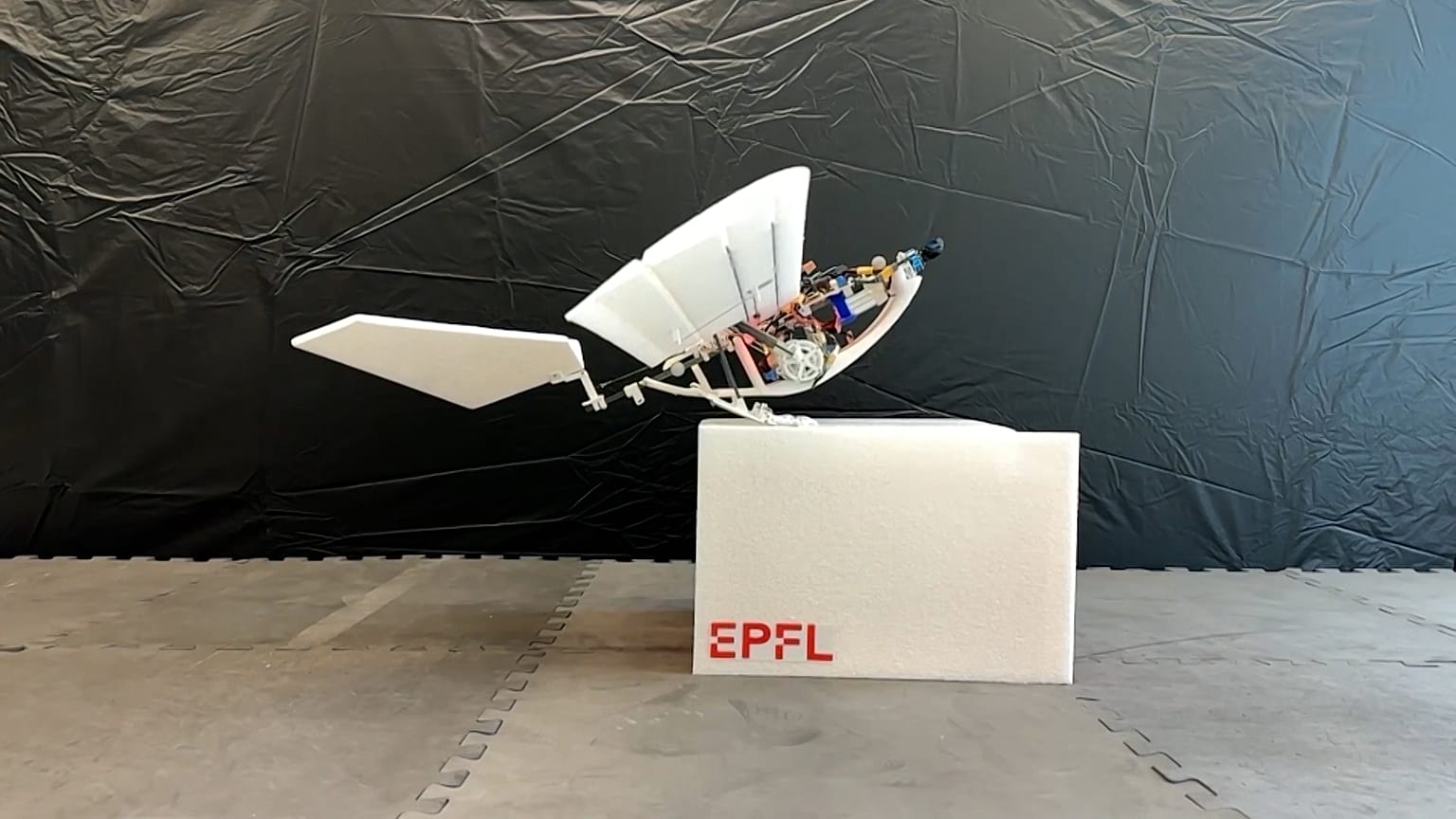 Investigadores suizos han desarrollado un robot parecido a un pájaro que puede andar, saltar y saltar para volar.