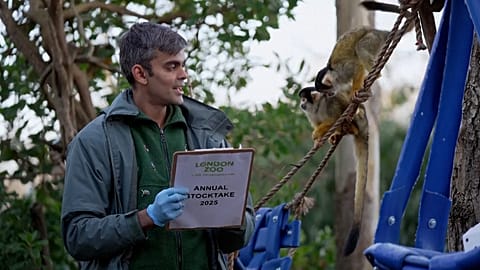 Un soigneur compte les animaux du zoo de Londres au Royaume-Uni, le 03.01.2025